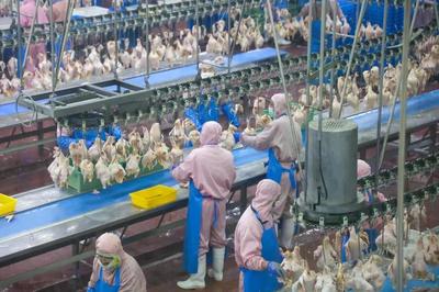 乳山預(yù)制菜企業(yè)實(shí)現(xiàn)年銷售額近10億元，飼料原料銷售雙輪驅(qū)動(dòng)