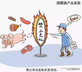 習(xí)水豬肉放心購，飼料原料供應(yīng)穩(wěn)——解析非洲豬瘟防控下的市場保障
