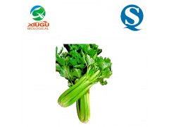 廠家直銷高品質(zhì)果蔬粉——芹菜粉，助力烘焙、膨化、固體飲料與飼料多元化應(yīng)用