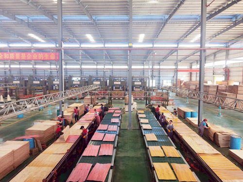 啟陽新材料 勇立潮頭，成為貴港首家獲全國工業(yè)產(chǎn)品生產(chǎn)許可證的飼料原料銷售企業(yè)