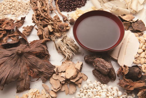 科技驅動視角下中藥產業創新發展的問題與出路——聚焦中草藥科技領域技術咨詢