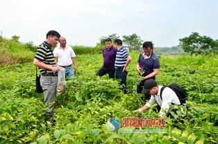 科技賦能產(chǎn)業(yè)，專(zhuān)家調(diào)研助力邵東中藥材基地發(fā)展